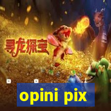 opini pix